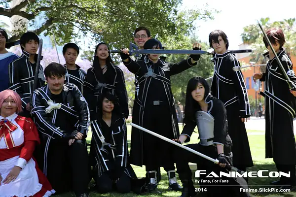 FanimeCon_14545 by Fanime2014