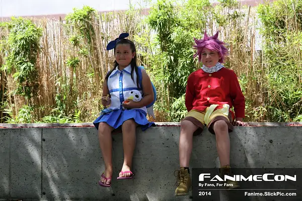FanimeCon_13993 by Fanime2014