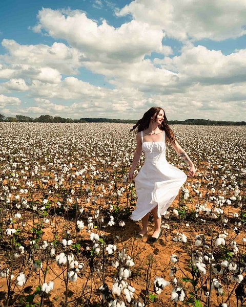 Cotton field portrait photographed in North Alabama - Home screen - Renaissance Photo