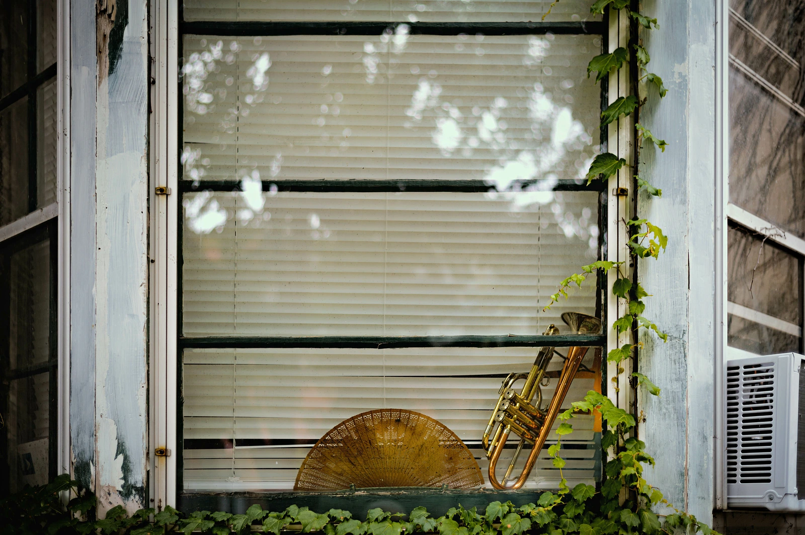 How Much Is That Trumpet In The Window?