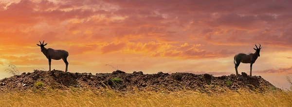 Tom Vollert Photography