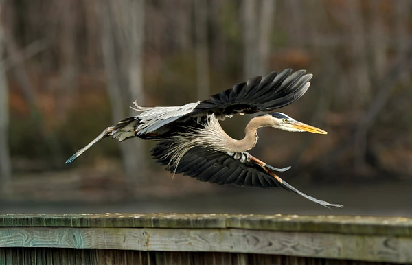 Tom Vollert Photography