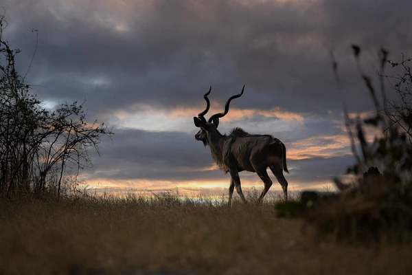 Tom Vollert Photography