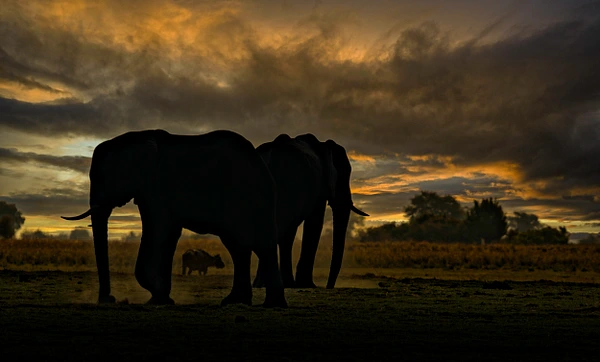 Tom Vollert Photography