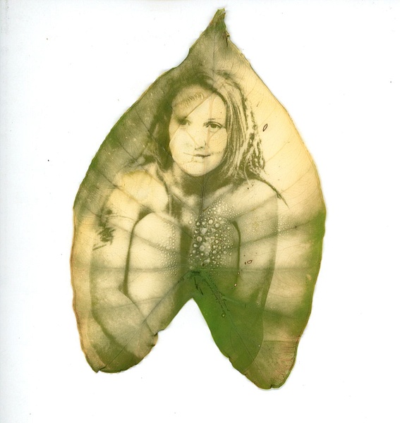 alocasia4 - Humans are Nature - MaKenna Harmon Photography
