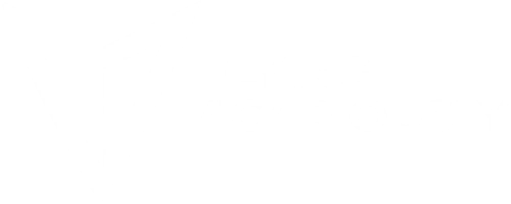 flyingvicariously