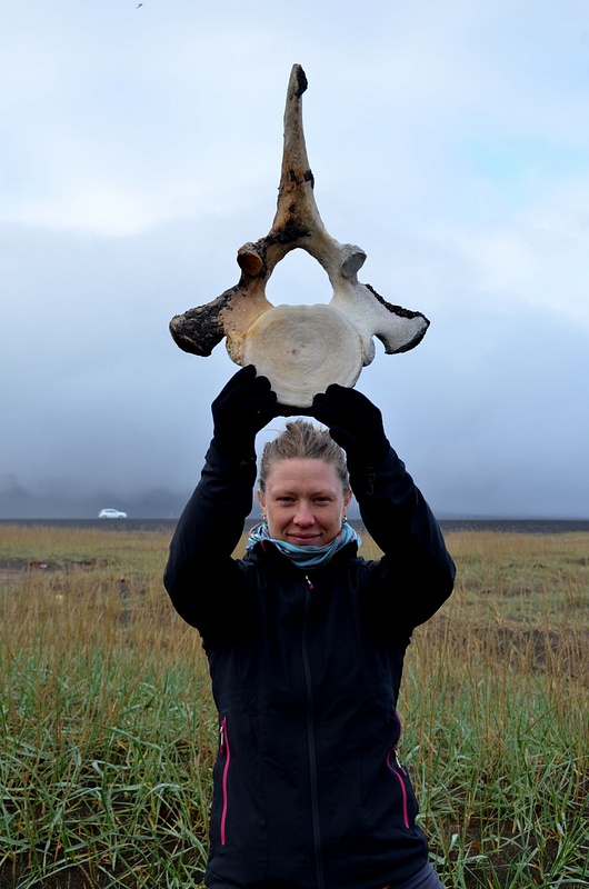 the minke whale bones we found