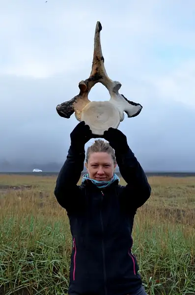 the minke whale bones we found by JoshBell