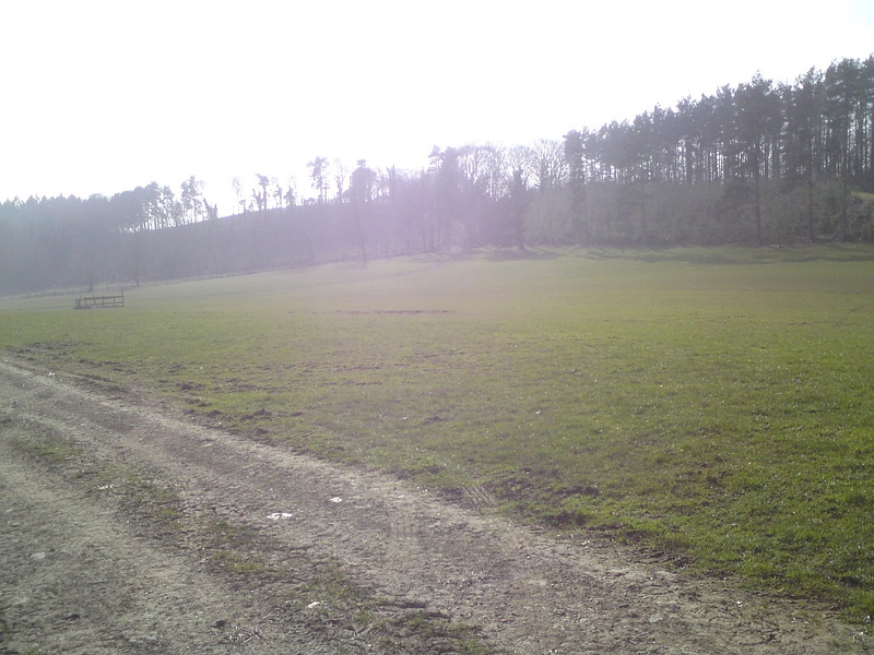 first field