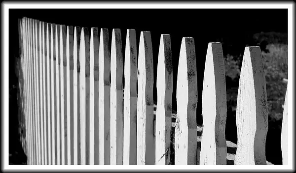 Fence, Spreckels, California by Dave Wyman