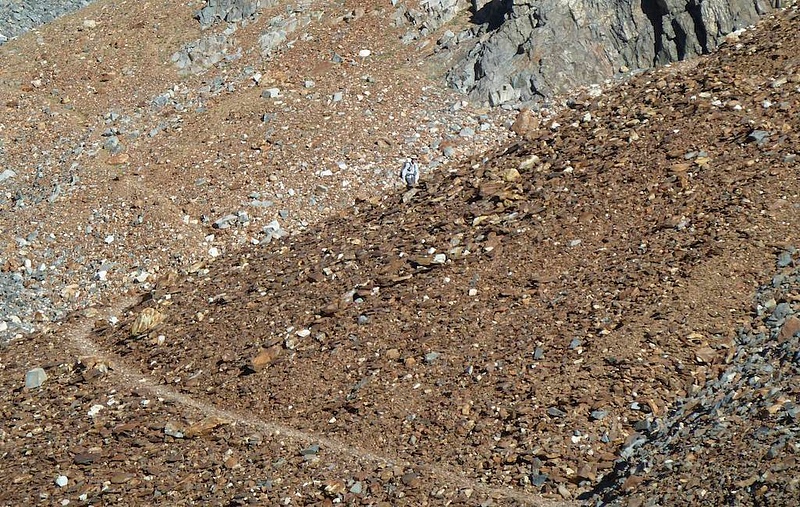 The trail over red slate rock, with John somewhere next to Waldo - uh, where IS Waldo?
