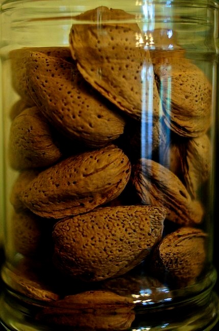 Almonds in Jar, Bidwell Mansion