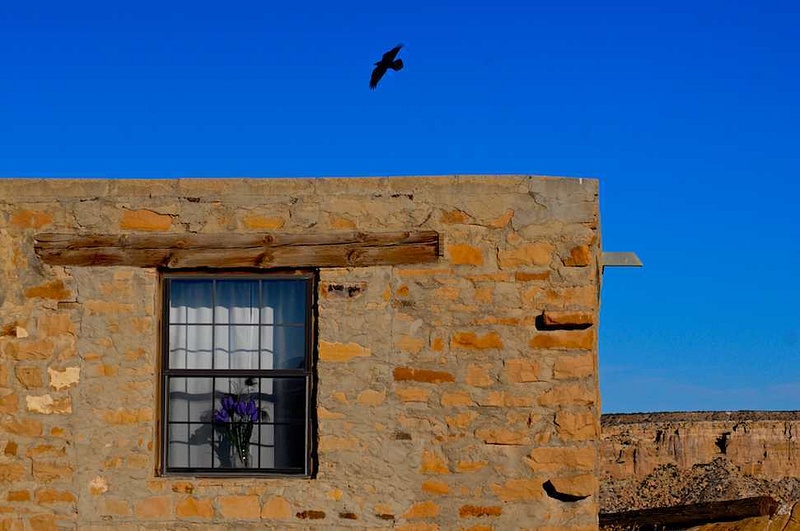Raven Over Home, Acoma Pueblo, New Mexico