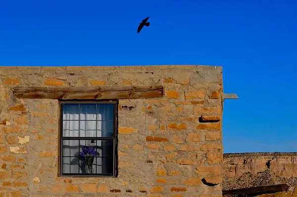 Raven Over Home, Acoma Pueblo, New Mexico by Dave Wyman