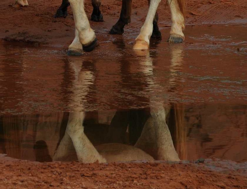 Reflections at Sand Creek, Monument Valley