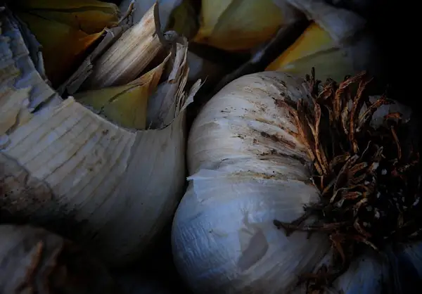 Garlic, Point Reyes Station Farmers Market by Dave Wyman