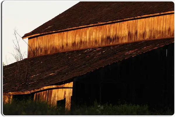 Abandoned Barn, Salinas Valley by Dave Wyman