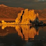 Mono Lake, Bodie Ghost Town and Autumn Colors - Si