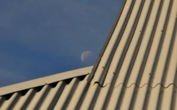 Roof and Moon, Foresta by Dave Wyman
