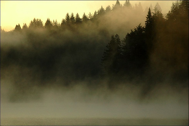 Fog over Eel Lake