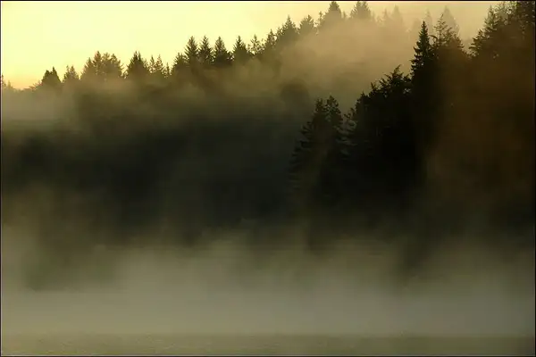 Fog over Eel Lake by Dave Wyman