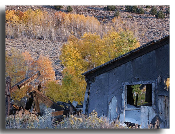Ruins and Aspens at the Chemung Mine