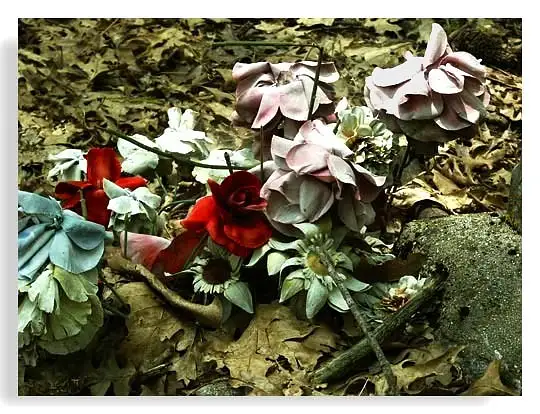 Dead Cemetery Flowers by Dave Wyman