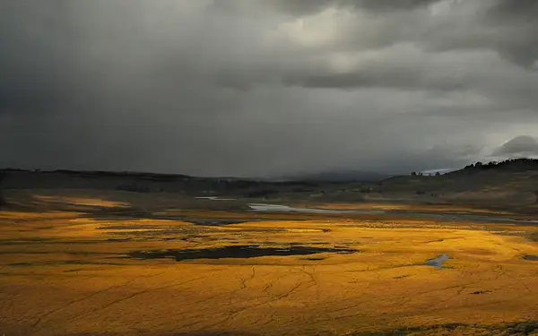 Hayden Valley, Yellowstone by Dave Wyman