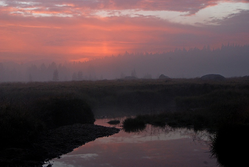 Sunset Viewed Through the Mist, Tuolumne Meadows