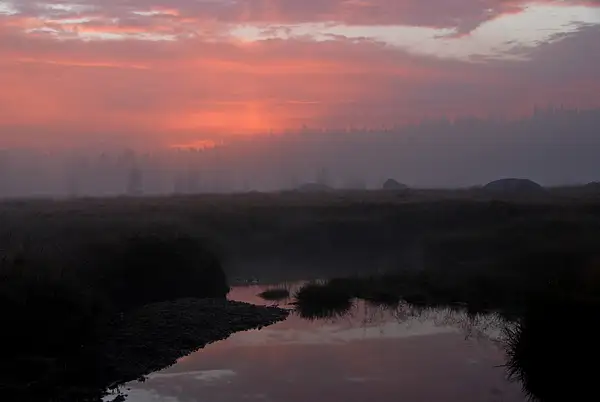 Sunset Viewed Through the Mist, Tuolumne Meadows by Dave...