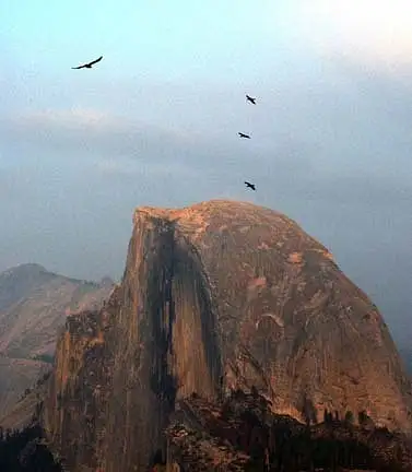 Ravens and Half Dome at Sunset by Dave Wyman