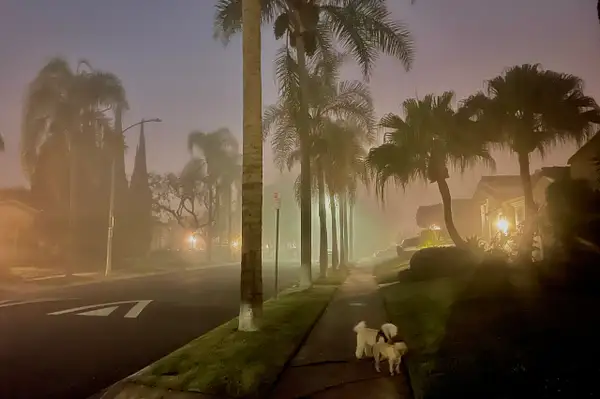 Foggy Night in Los Angeles by Dave Wyman by Dave Wyman