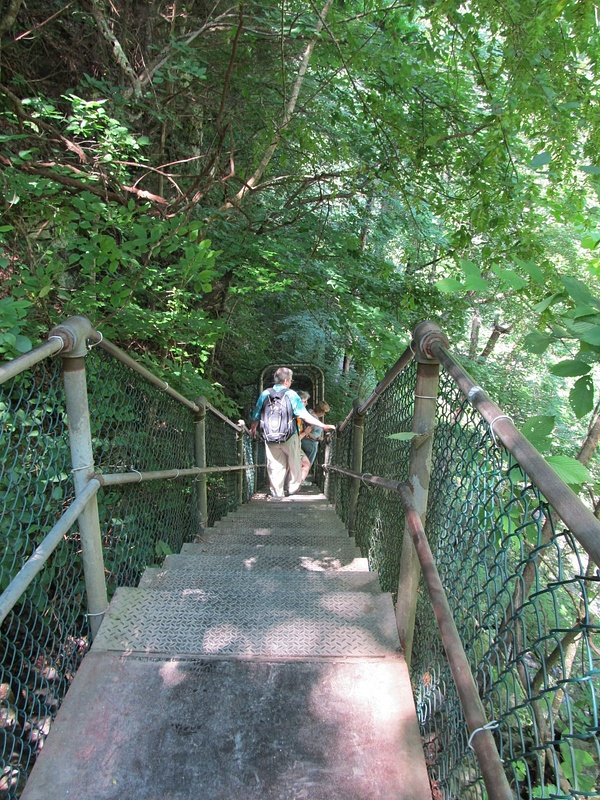 030 stairs to bottom of Burgess Falls