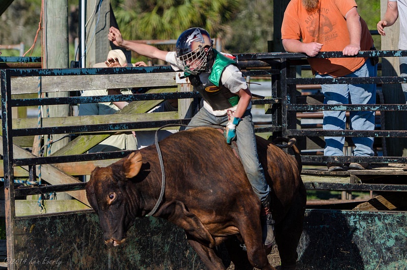 2014-02-28 131 Bull Riding Med
