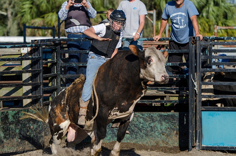 2014-02-28 153 Bull Riding Med