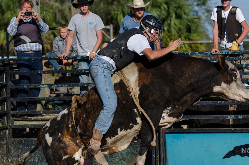 2014-02-28 157 Bull Riding Med