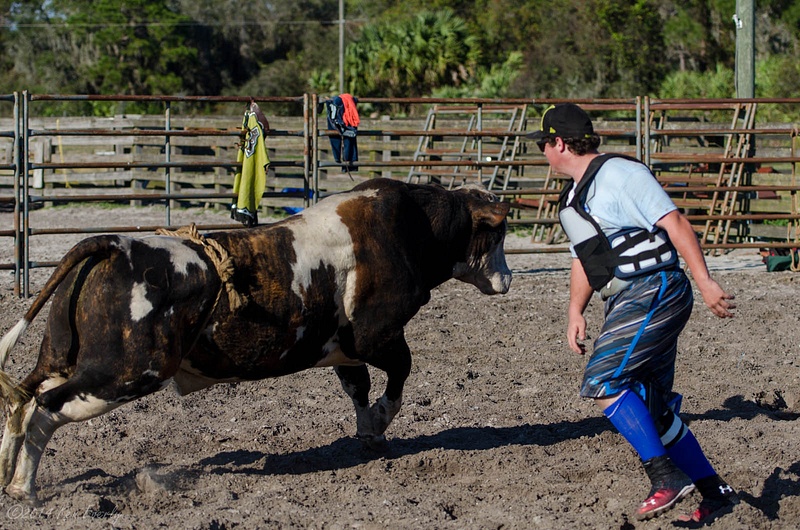 2014-02-28 163 Bull Riding Med