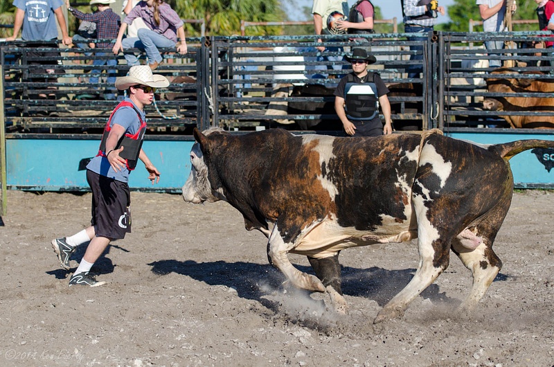 2014-02-28 164 Bull Riding Med