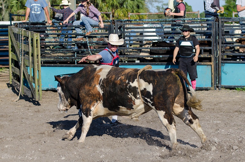 2014-02-28 165 Bull Riding Med