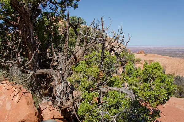 2015-09-23 077 Canyonlands med by Ken Everly