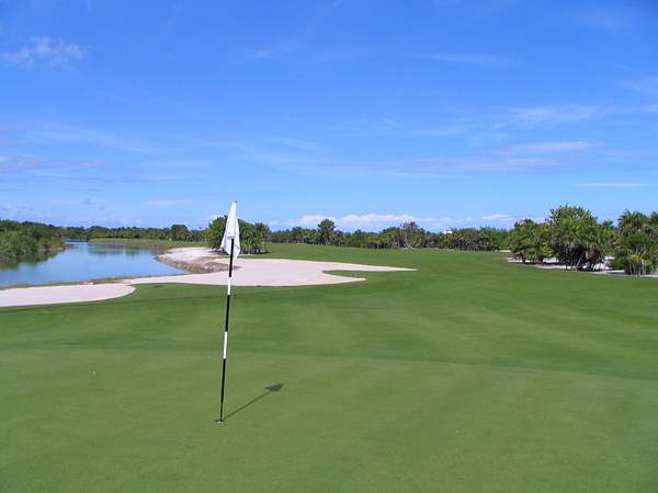 Playa Mujeres Golf Course by Aannabandana