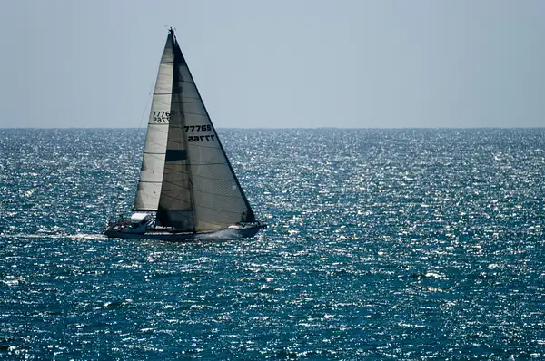 100313-0460Sailboat by SpecialK