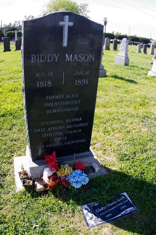 Mason Biddy