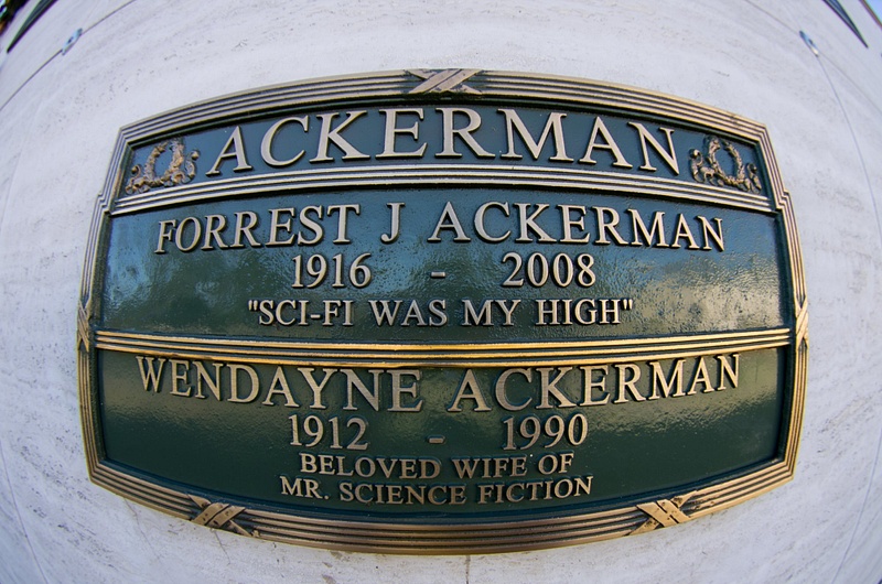 Ackerman Forrest