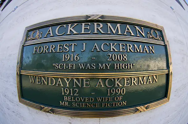 Ackerman Forrest by SpecialK