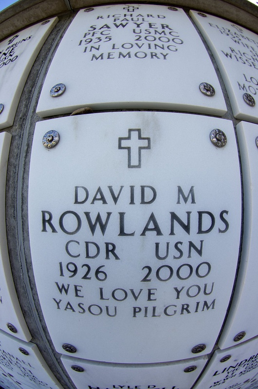 Rowlands David
