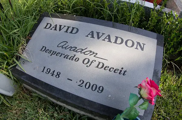 Avadon David by SpecialK