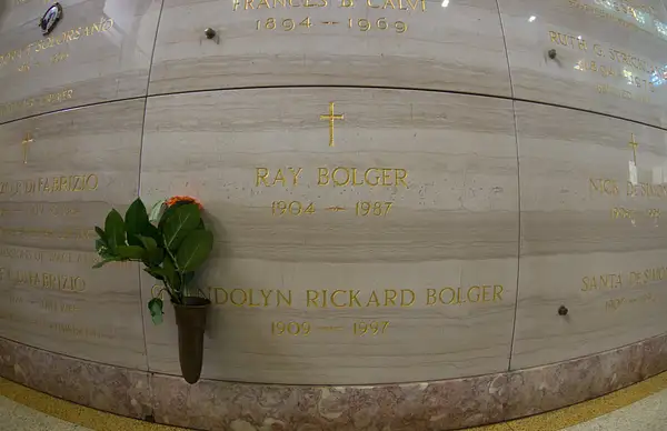 Bolger Ray by SpecialK