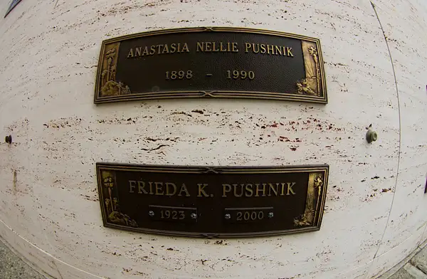 Pushnik Frieda by SpecialK