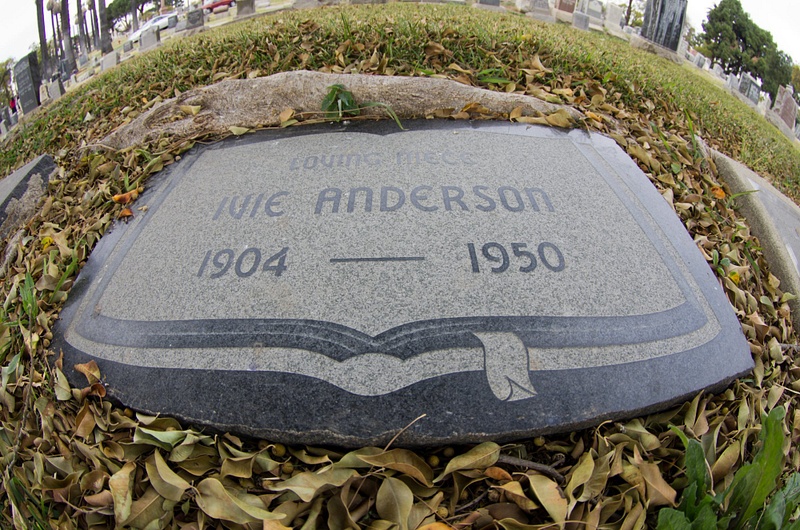 Anderson Ivie
